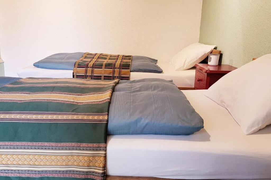 Colourful 2.5 Bedroom With Large Balcony & Garden. Prinzersdorf Zewnętrze zdjęcie