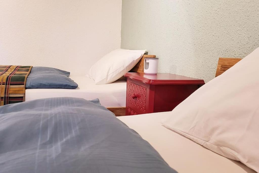 Colourful 2.5 Bedroom With Large Balcony & Garden. Prinzersdorf Zewnętrze zdjęcie
