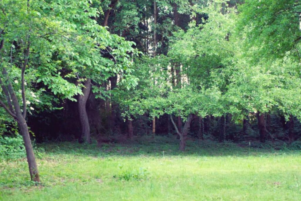 Colourful 2.5 Bedroom With Large Balcony & Garden. Prinzersdorf Zewnętrze zdjęcie