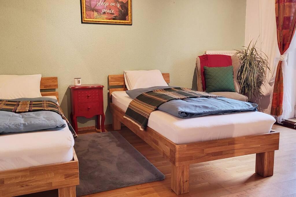 Colourful 2.5 Bedroom With Large Balcony & Garden. Prinzersdorf Zewnętrze zdjęcie