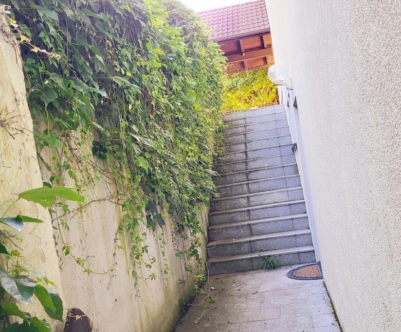 Colourful 2.5 Bedroom With Large Balcony & Garden. Prinzersdorf Zewnętrze zdjęcie